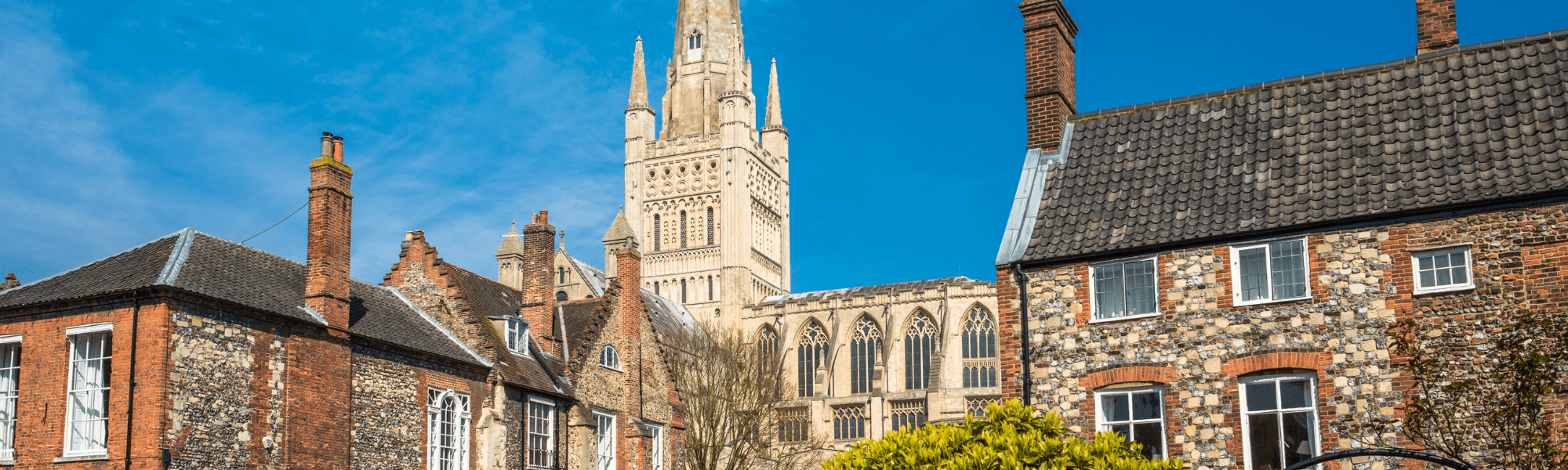 Care agency in Norwich, nursing agency norwich, Care jobs in Norwich